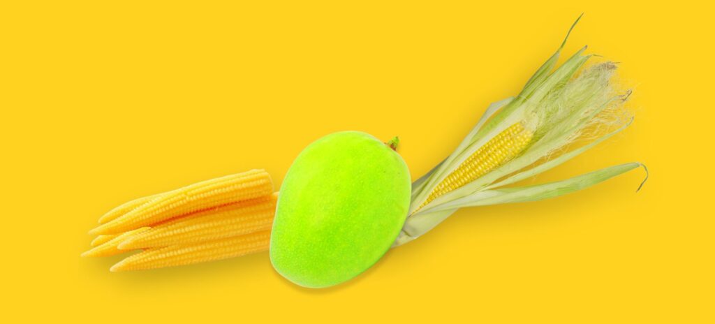 Devgad Agro Foods: Premium Mango Pulp & Processed Food Exporter from India